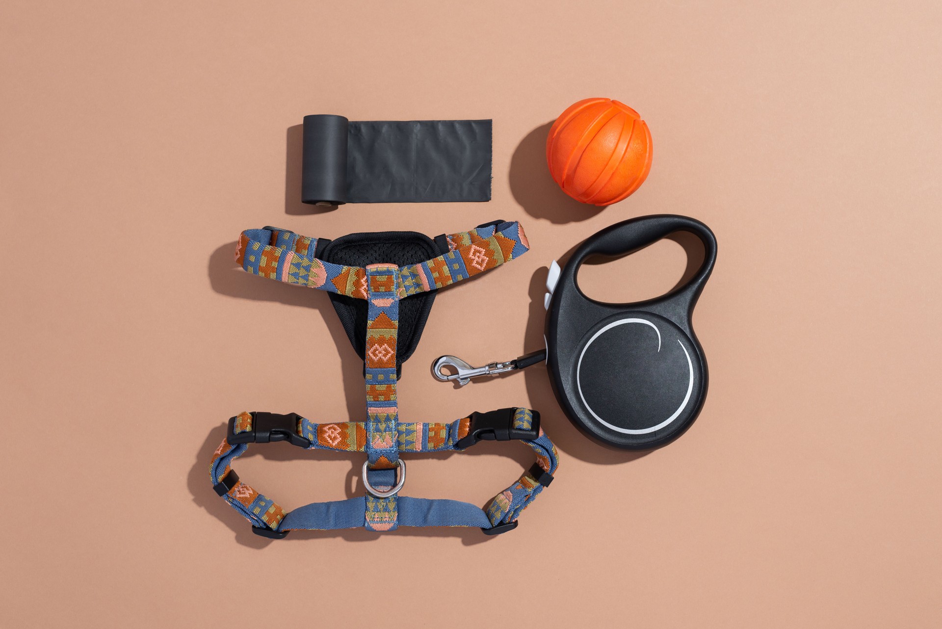 Beautiful dog harness, retractable leash and poop bags on beige background. Ammunition and accessories for dog
