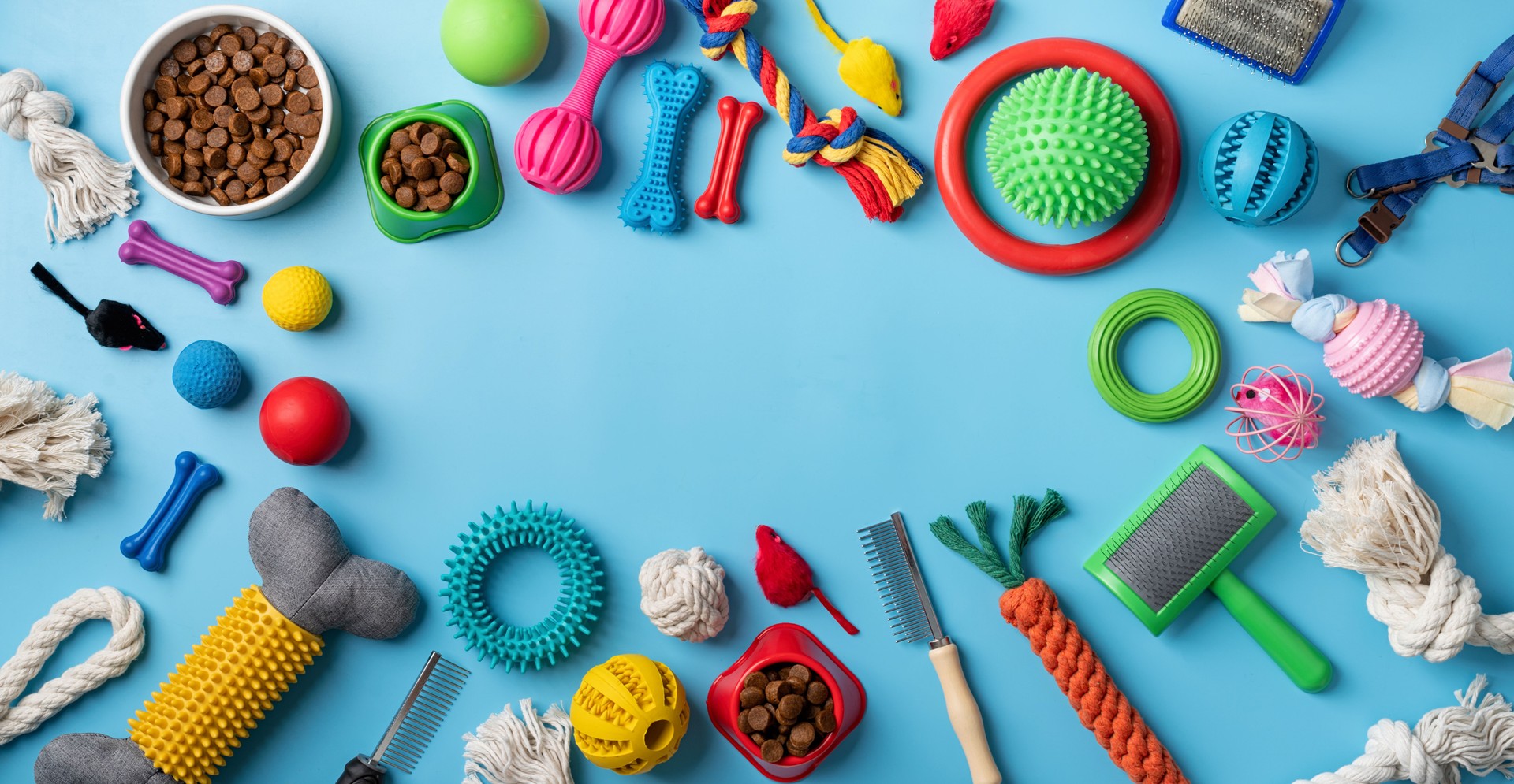Pet care concept, various pet accessories on blue background, flat lay