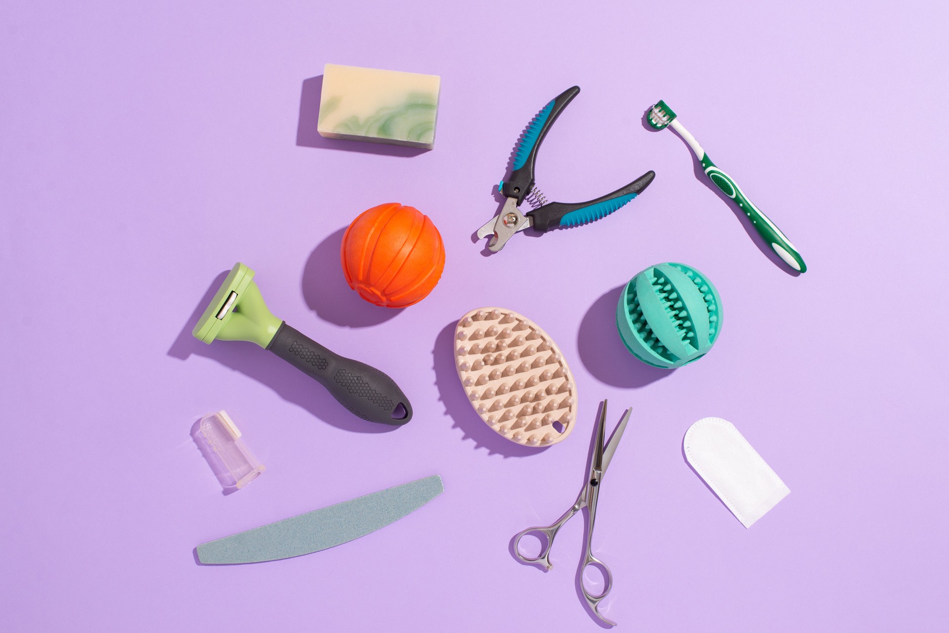 Pet care, hygiene and grooming tools on a pastel purple background