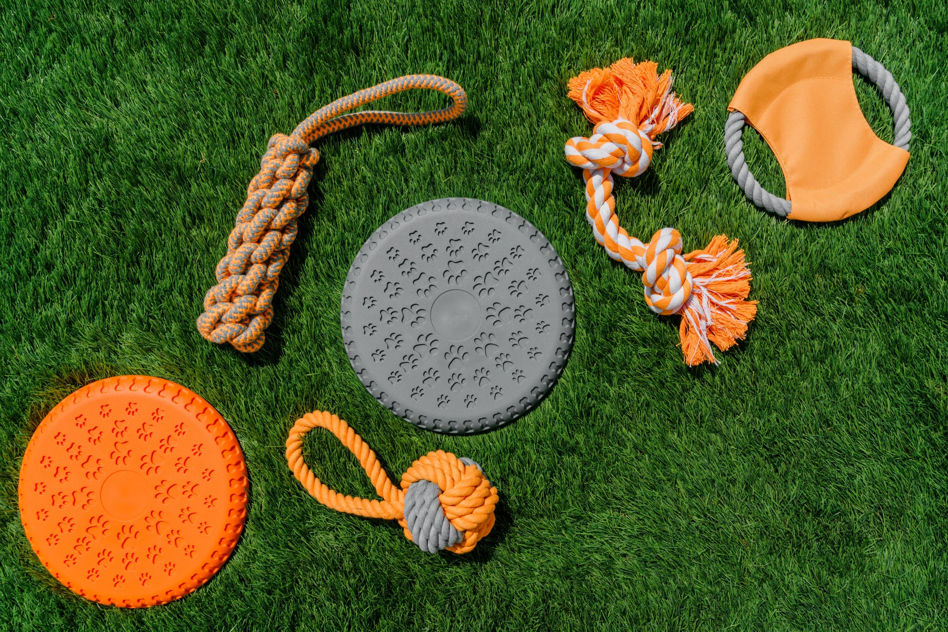 Set of orange rag and rubber toys for dogs on synthetic grass, layout, hard light